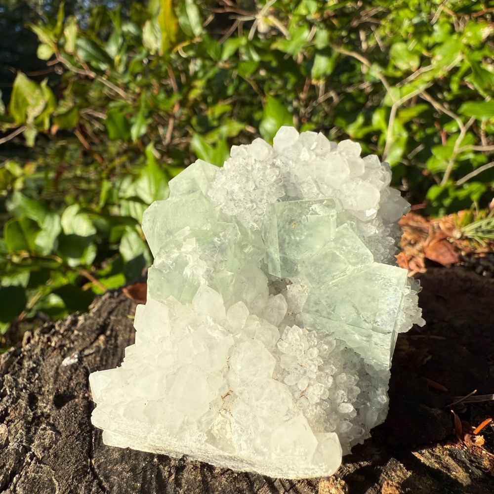 Mint fluorite on quartz crystal - SEE VIDEO!